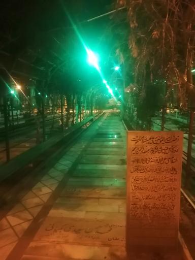 عکس گلزار شهدای شیراز 