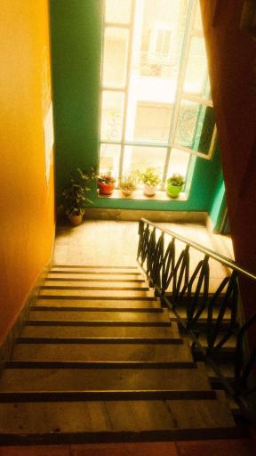 عکس دانشگاه هنر سوره