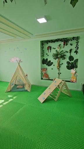 عکس خانه بازی نبض جنگل