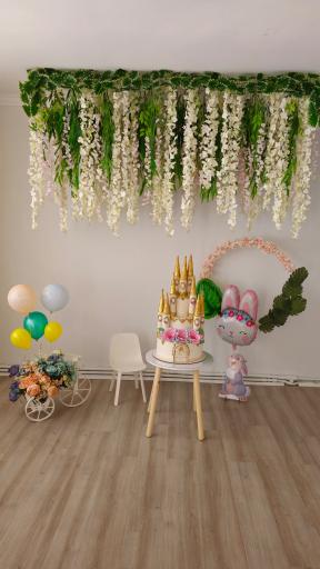 عکس خانه بازی نبض جنگل