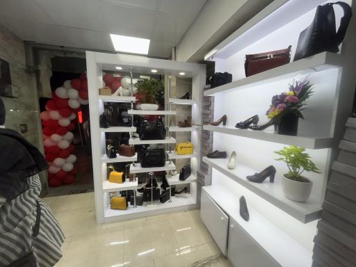 کیف و کفش روژان