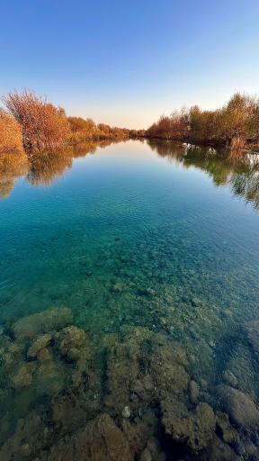 عکس بیشه عباس آباد