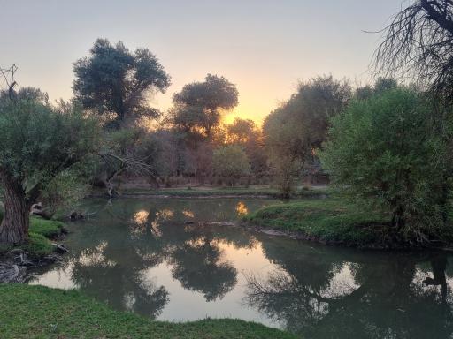 عکس بیشه عباس آباد