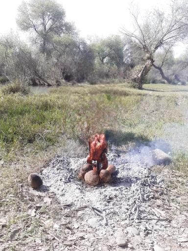 عکس بیشه عباس آباد