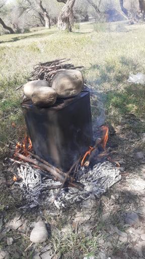 بیشه عباس آباد