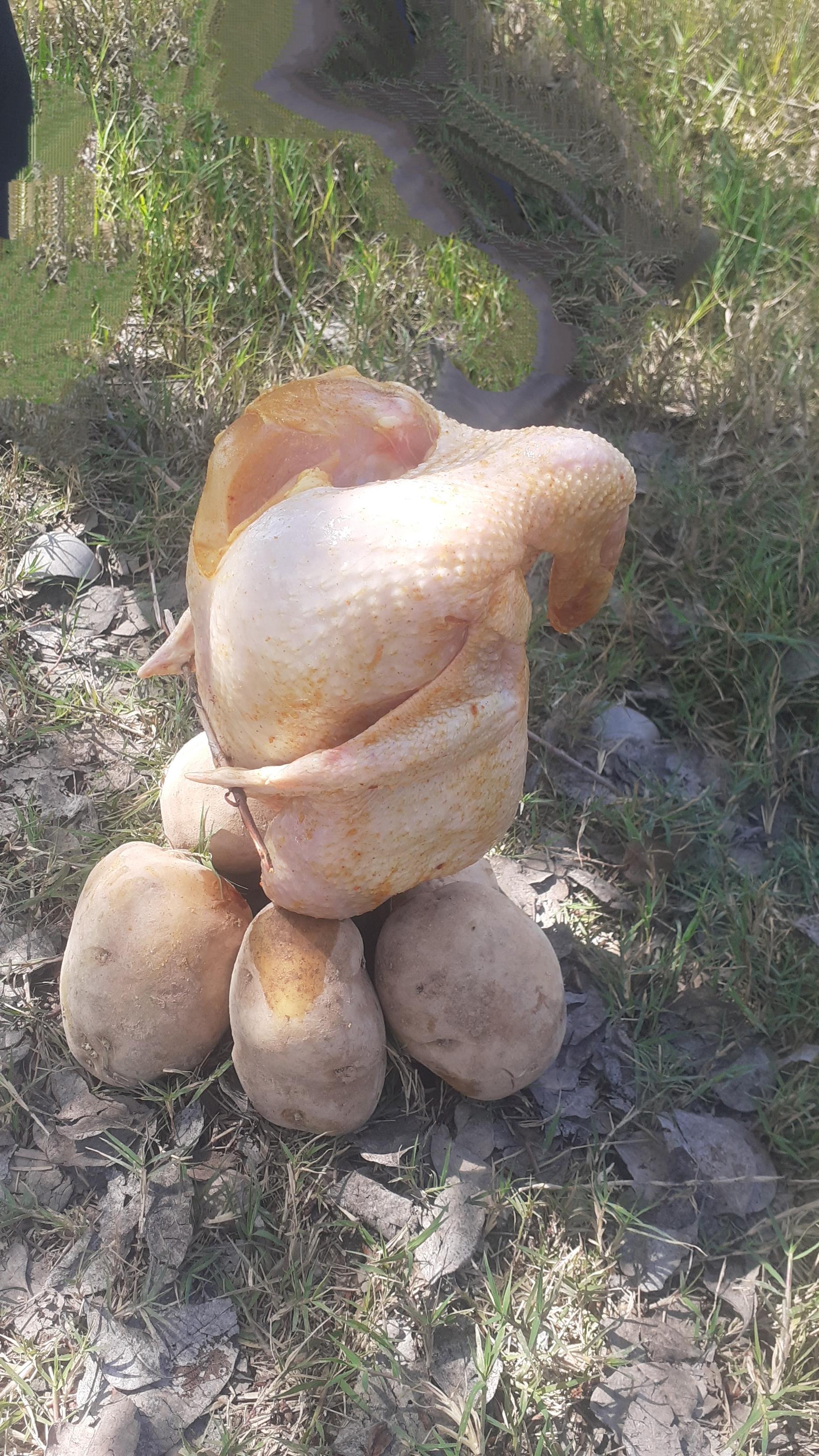 عکس بیشه عباس آباد