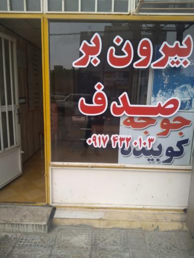 عکس بیرون بر صدف