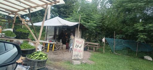 عکس آش و سبزیجات محلی