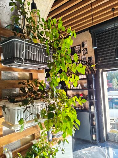 عکس کافه رستوران ارکیده سبز البرز