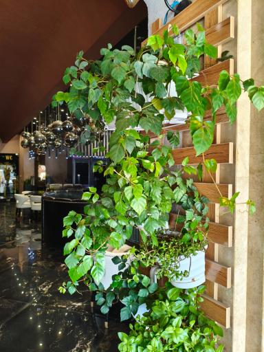 عکس کافه رستوران ارکیده سبز البرز