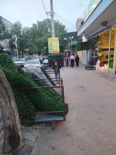 پوشش کاران سنه