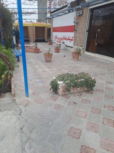 عکس رستوران ماژان