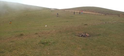 عکس دشت شقایق اسالم