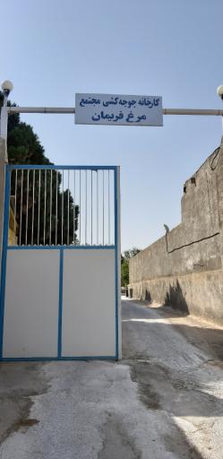 عکس کارخانه جوجه کشی مرغ فریمان