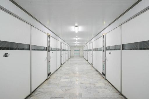 عکس کارخانه جوجه کشی مرغ فریمان