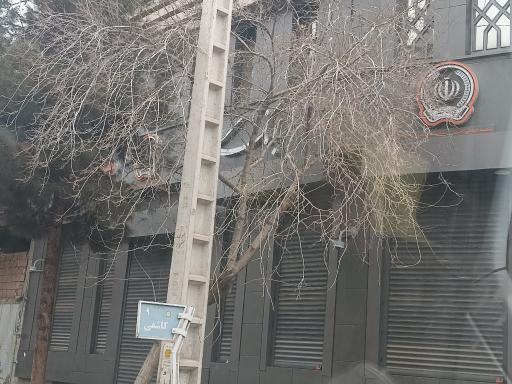 عکس بانک سپه شعبه خیابان کاشفی