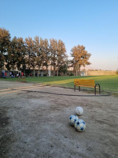 عکس زمین چمن فوتبال