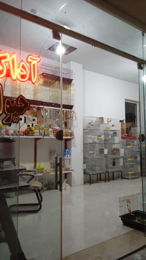 عکس پرنده فروشی آداک
