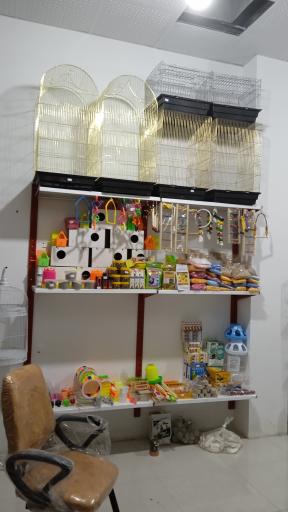 عکس پرنده فروشی آداک