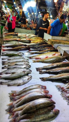 عکس بازار ماهی
