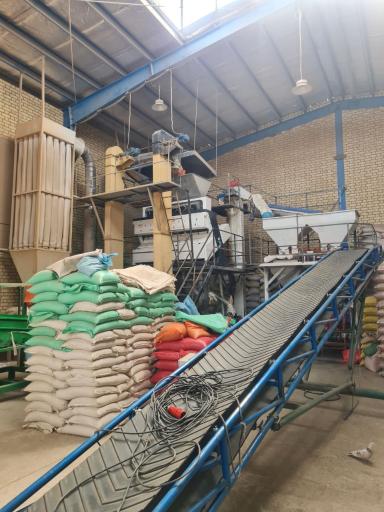 عکس سورتینگ توحید