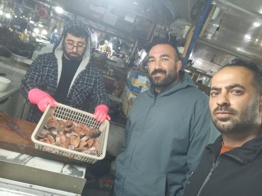 عکس بازار ماهی