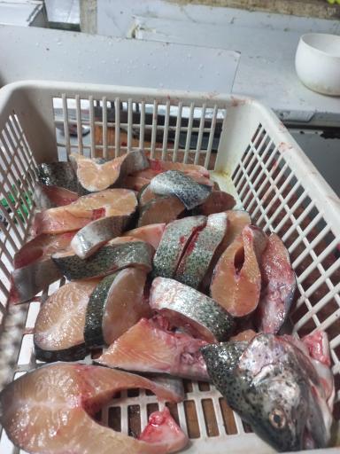 عکس بازار ماهی