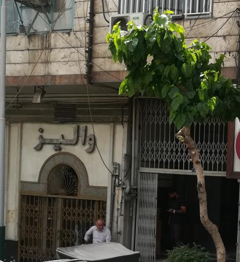 عکس لباس عروس والیز