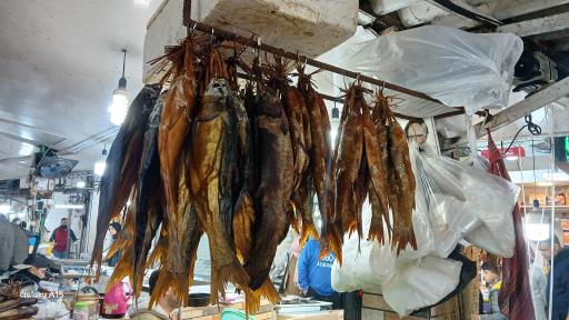 عکس بازار ماهی