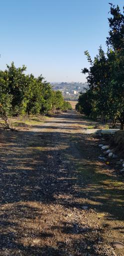 عکس اقامتگاه چشم انداز باغ