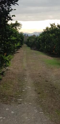 عکس اقامتگاه چشم انداز باغ