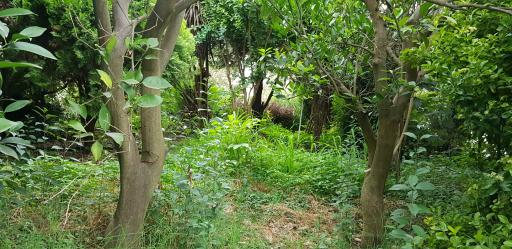 عکس اقامتگاه چشم انداز باغ