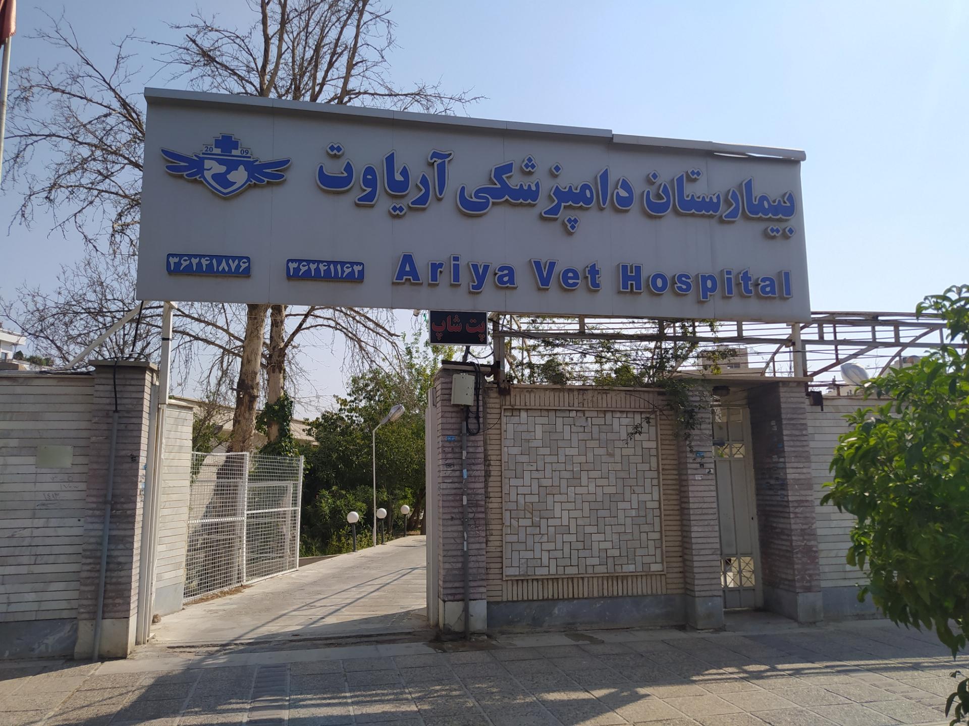 عکس بیمارستان دامپزشکی آریاوت