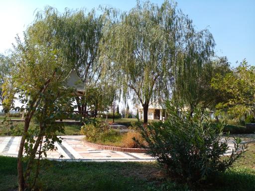 عکس سازمان پژوهش‌ های علمی و صنعتی ایران