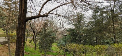 عکس بوستان بهشت مادران