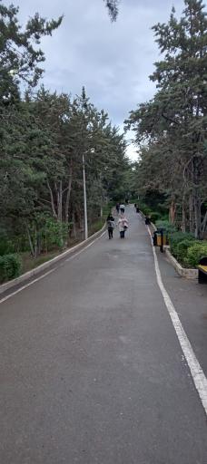 عکس بوستان بهشت مادران