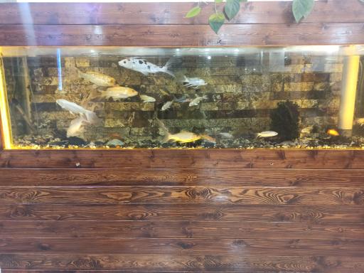 عکس رستوران سرداران 