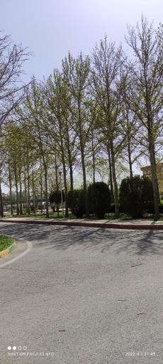 عکس سازمان پژوهش‌ های علمی و صنعتی ایران