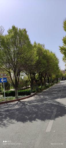 عکس سازمان پژوهش‌ های علمی و صنعتی ایران