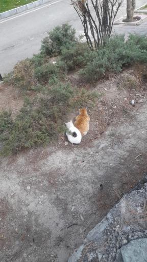 بوستان بهشت مادران