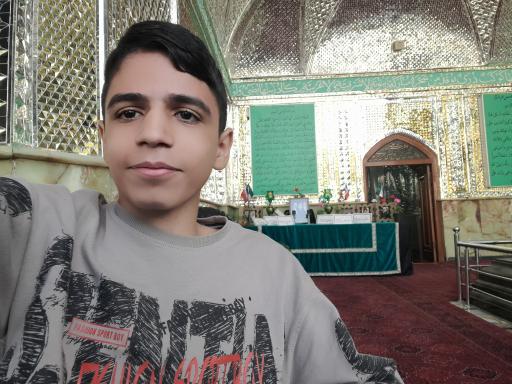 عکس امامزاده حسن(ع) تهران
