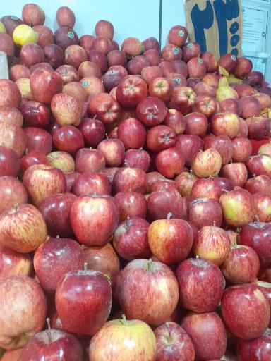 عکس بازار میوه و تره بار مرکزی مشهد