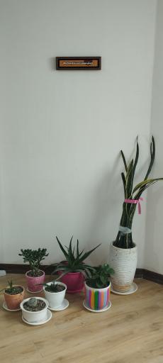 عکس کاردرمانی و گفتاردرمانی هیرو اسلامشهر