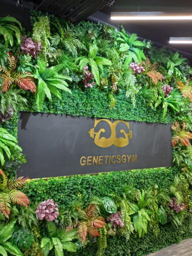 عکس باشگاه بدنسازی ژنتیک