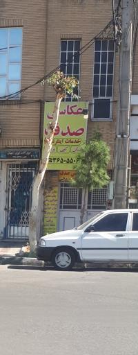 عکس عکاسی صدف