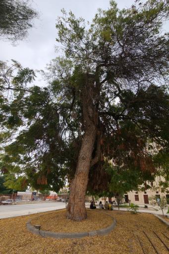 عکس معبد هندوها