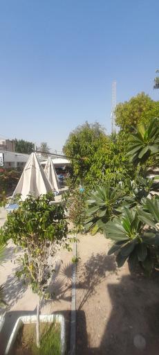 عکس معبد هندوها