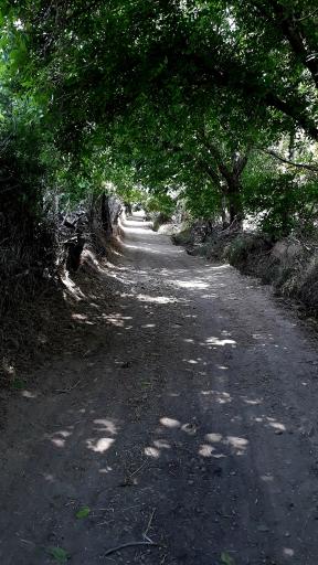عکس نکتو