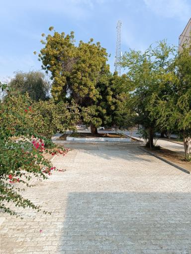 عکس معبد هندوها