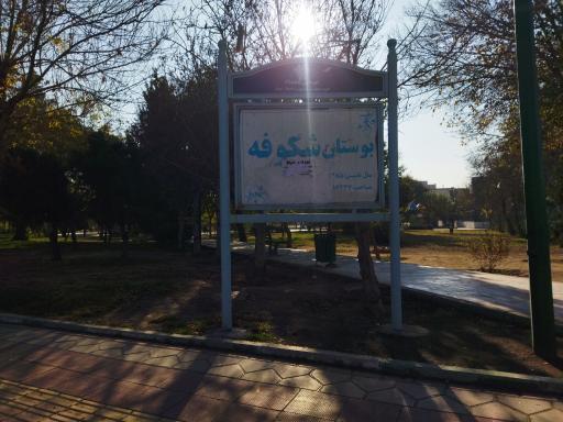 عکس بوستان شکوفه